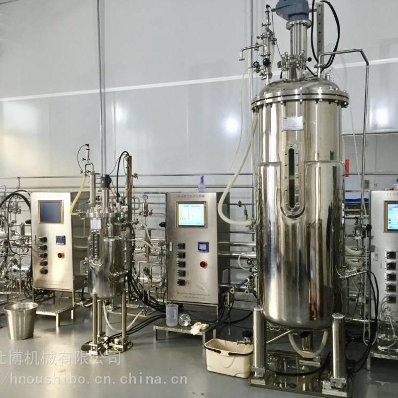 发酵工程:解锁生物技术的魔法